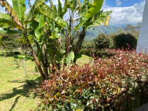 Casa finca San Martín