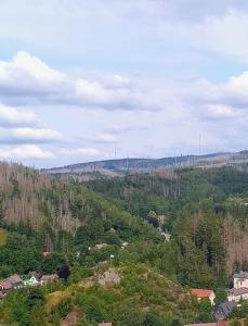 Feinwald Highline Altenau