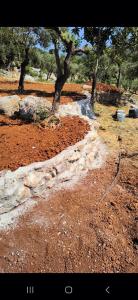 B&B Luisana Rural Guesthouse