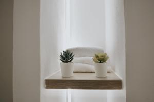 Appartamento VerdeVigna