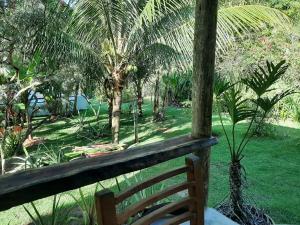 Casafolhadabananeira