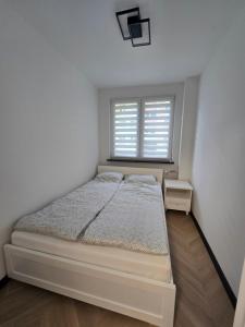 Szczecinek apartament