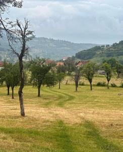 Kuća za odmor Dolina Lima