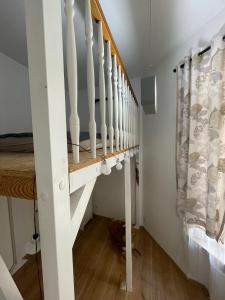 Cisza na Placu Wolności