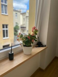 Cisza na Placu Wolności