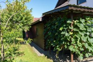 Apartma ob Kolpi Križan