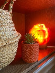The Ozorian Rooms & Glamping