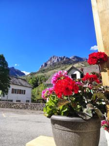 Maisons d'hotes Les Chambres d-Alienor : photos des chambres