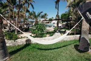 Buena Vista Oceanfront & Hot Springs Resort