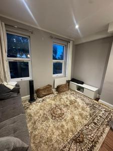 Amazing Flat in London