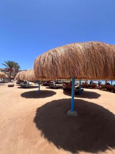 Hurghada Tiba Golden Resort Apartment Strand Pool 22