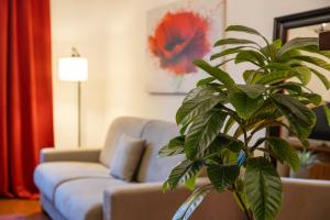 Appartamento con Camino in Centro Storico