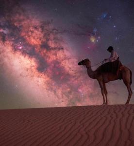 Camp tala moon - Ubytování bez kategorie ve městě Disah