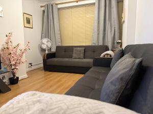 Self-catering Apartment in the Heart of London Victoria