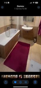 Štěpánká - Lucerna 1