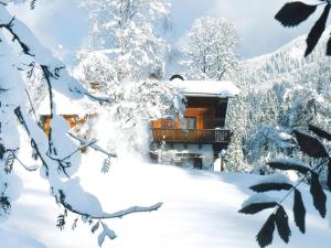 Apartment in Hüttau near Ski Amadé Slopes