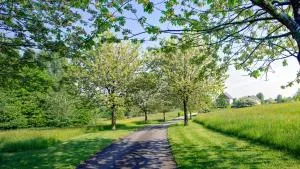 côté verger B&B - Chaineux