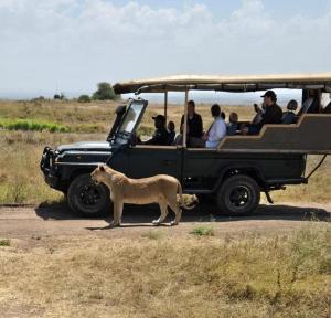 Nairobi National Park Safari