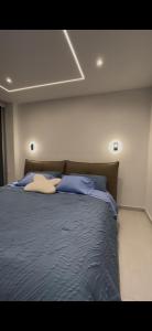 Dpt FONTAINEBLEAU TONSUPA