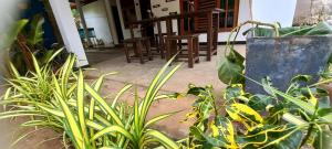 Eco home stay and safari - Ubytování bez kategorie ve městě Udawalawe