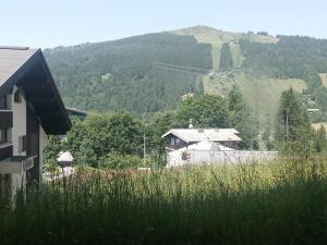 Appartement T2 à louer aux Gets – Chavannes, ménage inclus - FR-1-573-142