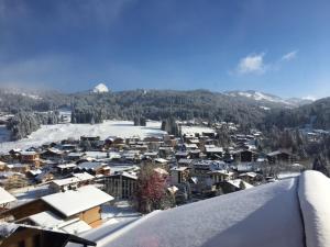 Chalet 3 chambres - Sauna et salle de sport - 8 pers - FR-1-685-91