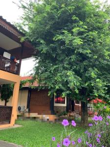 Chiang Mai Slow time