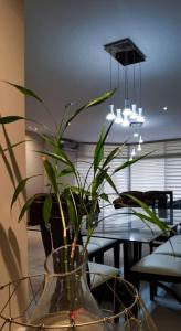 Amplio departamento de LUJO en la mejor zona