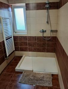 Vila Stefana Paltinis