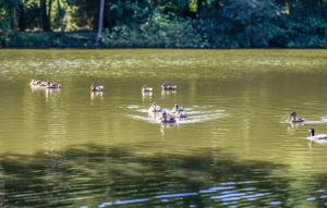 Maisons de vacances Pet Friendly Home In Bourbourg With Lake View : photos des chambres