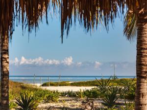 Avenida, Calle Paseo Kuka Manzana. 133, 77310 Isla Holbox, Quintana Roo, Mexico.