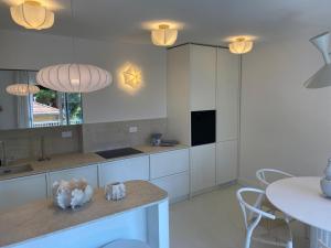 Apartment Oasis
