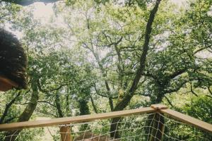 La Cabanoun, cabane perchée vue lac