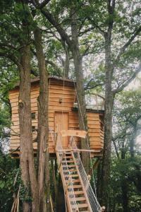 La Cabanoun, cabane perchée vue lac