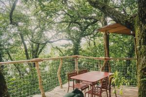 La Cabanoun, cabane perchée vue lac