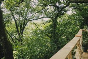 La Cabanoun, cabane perchée vue lac
