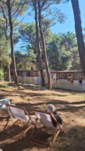 Mobile homes Pine Sea Banjole