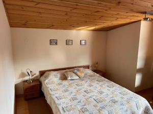 Kalaydzhiev Guest House - Къща с 5 спални