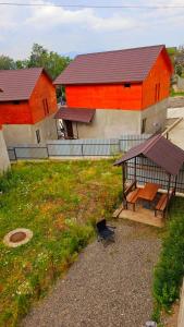 Cottage by the Forest
