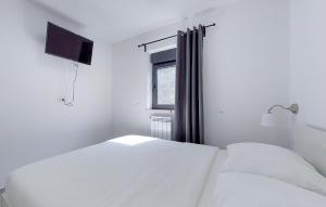 Gorgeous Apartment In Drenje With Wifi