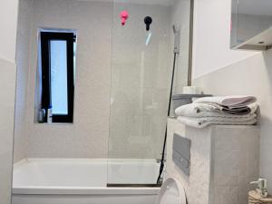 Studio in historic center of Brasov