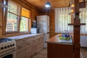 Cabana Viilor Dej
