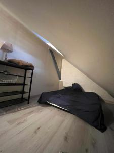 Appartements Hyper centre 2 St Michel : photos des chambres