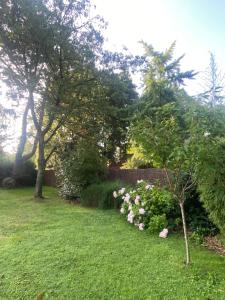 B&B / Chambres d'hotes Entre Parentheses - Lille & Villeneuve d'Ascq : photos des chambres