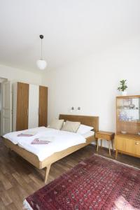 Mamas apartment in Letna