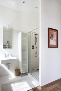 Mamas apartment in Letna