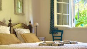 Villas La Mauricette - Provencal House Mougins with Pool : photos des chambres