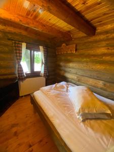 Cabana vânătorului