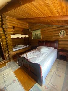 Cabana vânătorului