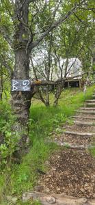 Eyja Mork - Aurora Igloo with shared Hot Tub, BBQ and kitchen - B2